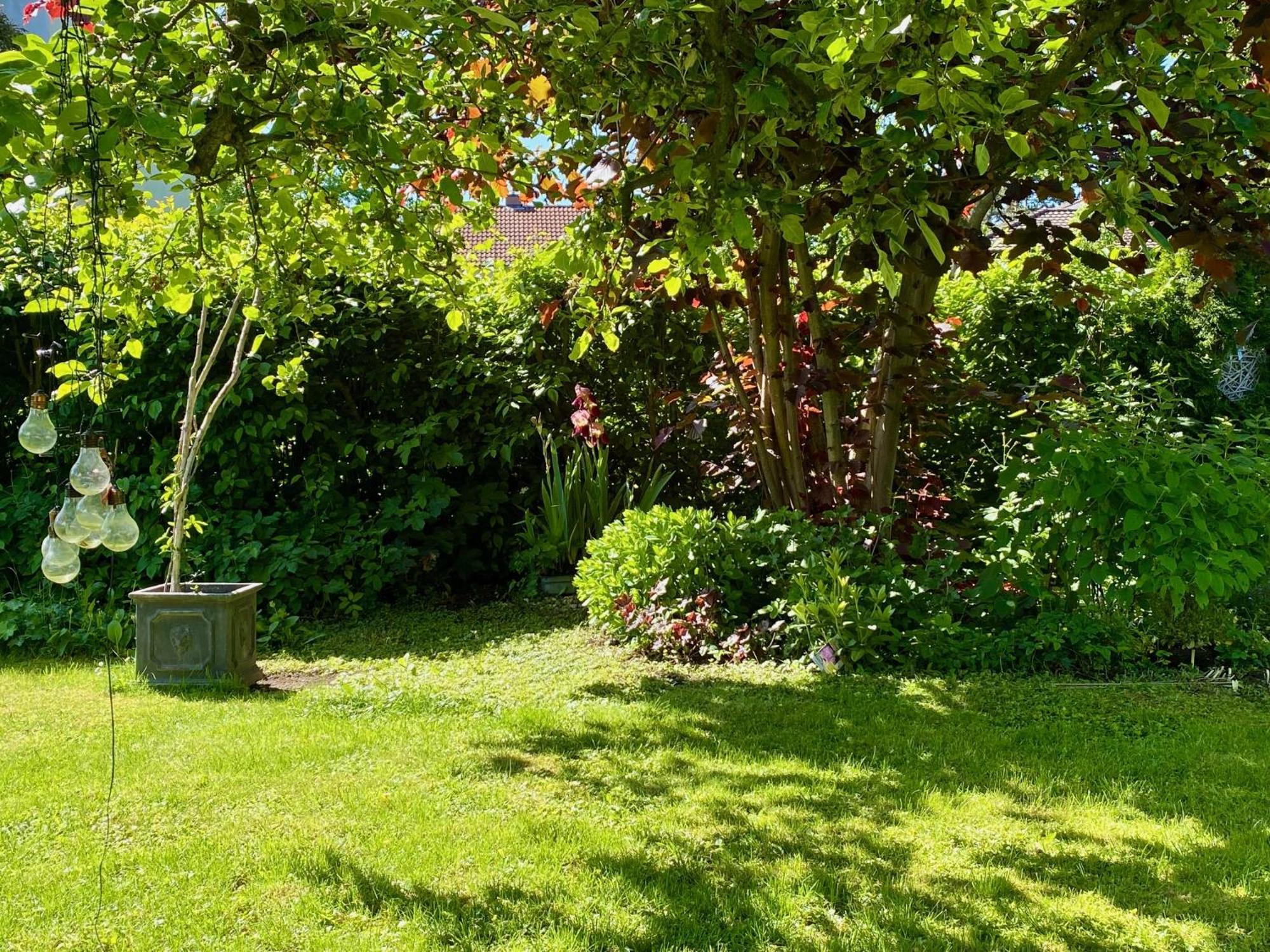 Auszeit-Ort Mit Wohlfuehl-Garantie Apartment Neu-Ulm Luaran gambar